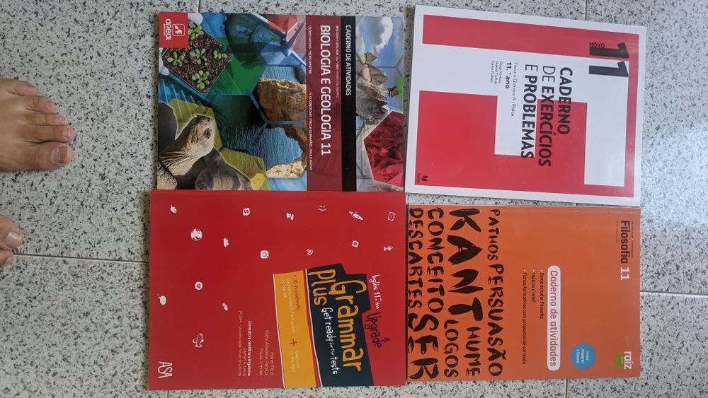Cadernos de atividades do 11 ano