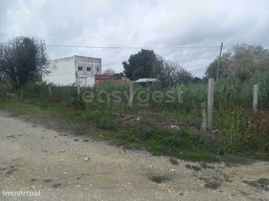 Terreno Misto - Marinha Grande - com Capacidade Construtiva