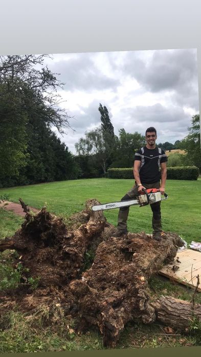 Serviços de jardinagem - Manutenção de Jardins