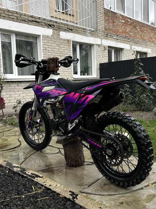 Kovi jnr 250 2025