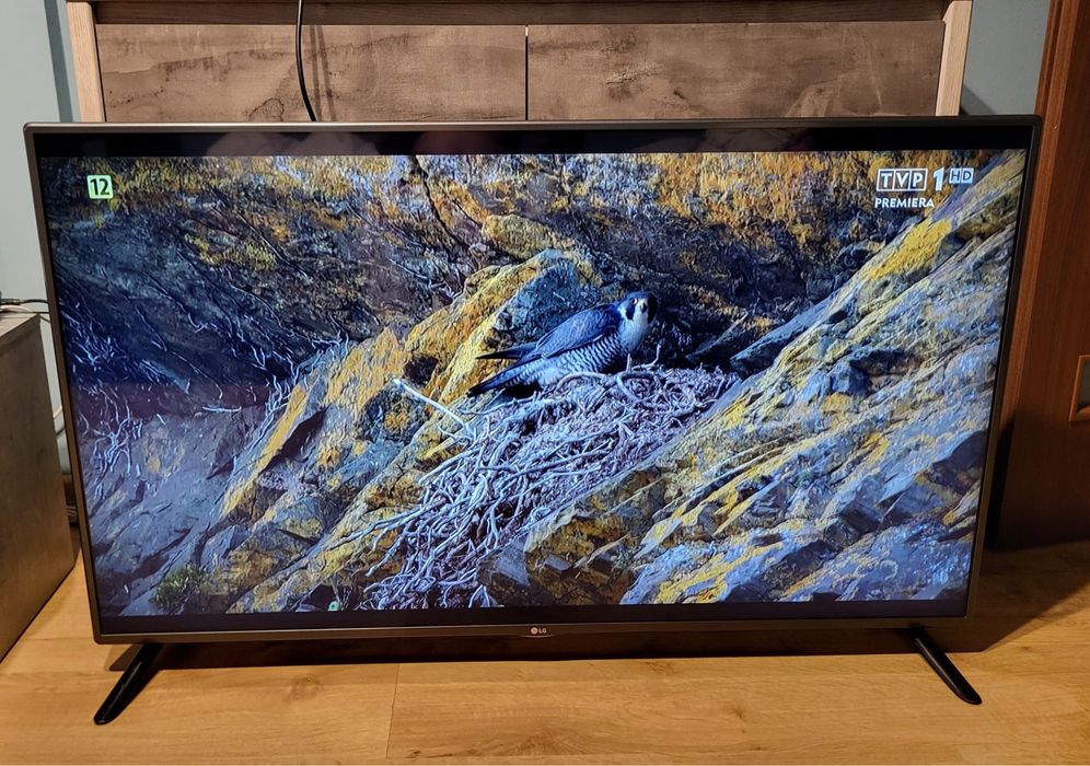 Telewizor LG 55' SmartTV