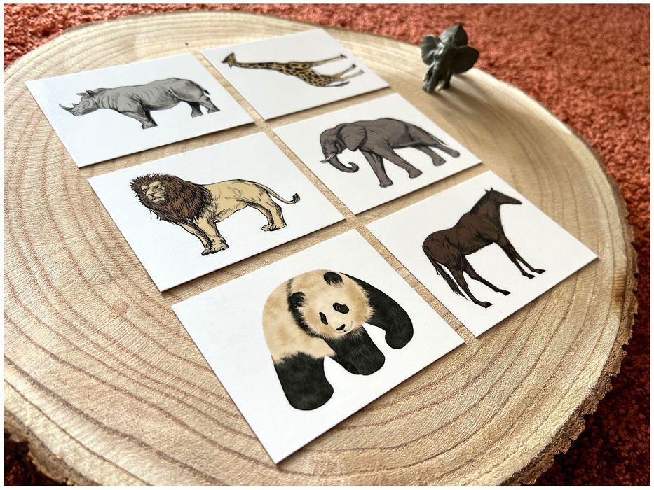 Animais da Selva- Montessori