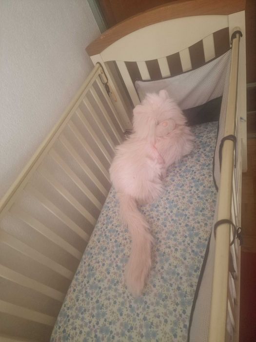 Berço e colchão em bom estado