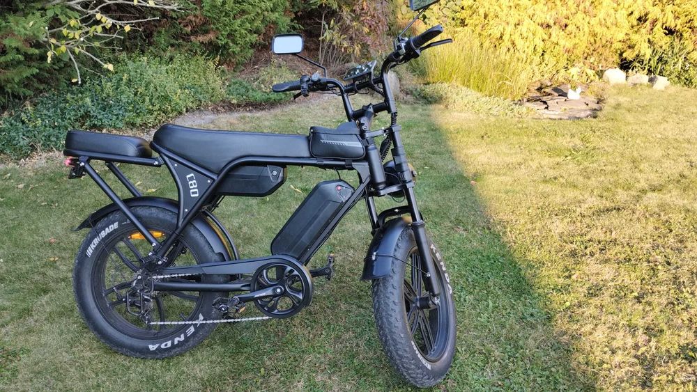 Fatbike-Electic v8