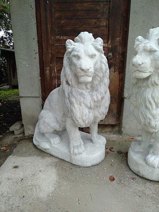 Lew betonowy duży
