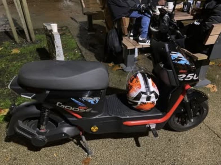 Vendo mota vortex goose