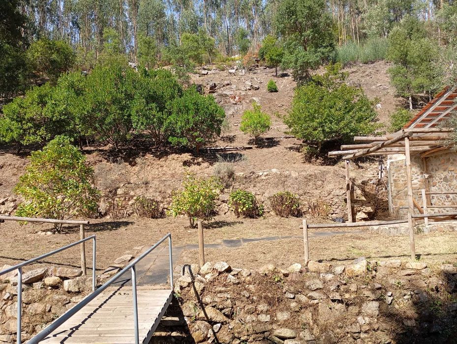 Limpeza de terrenos agrícolas mato podas