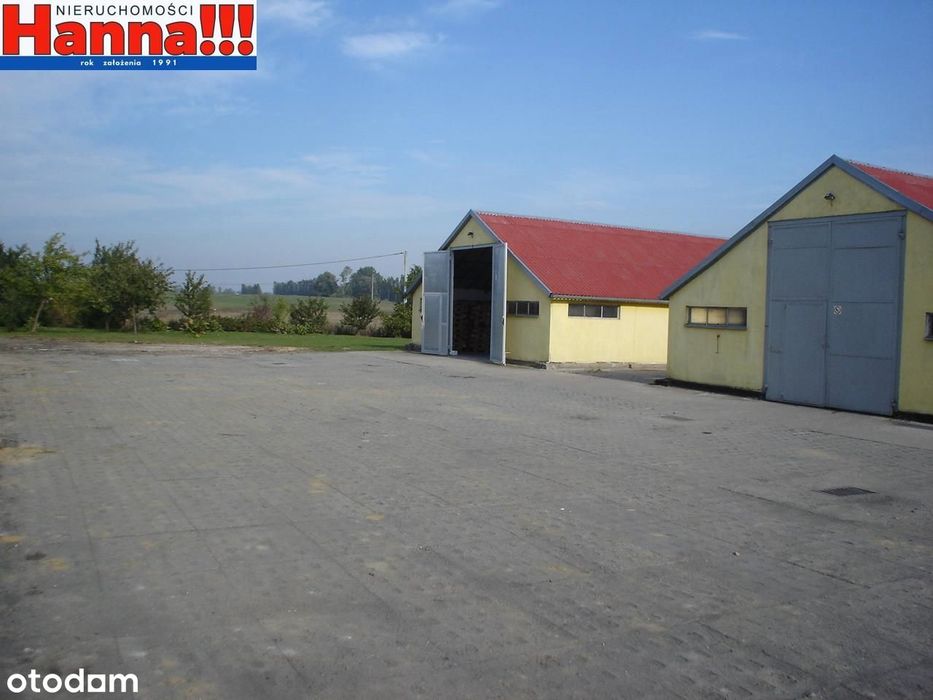 Pruszcz Gdański/Juszkowo - magazyn od 250 do 380m2