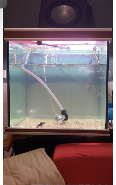 Aquario/terrario 250 litros