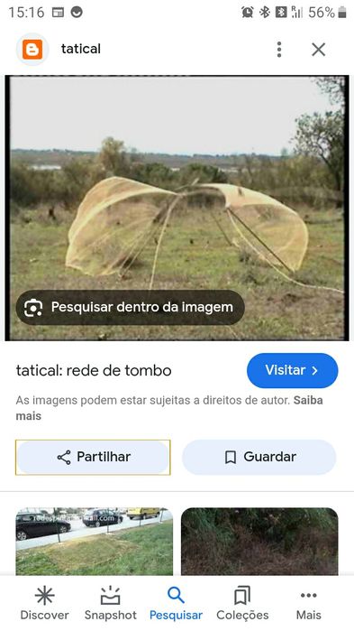 Rede proteção  pássaros