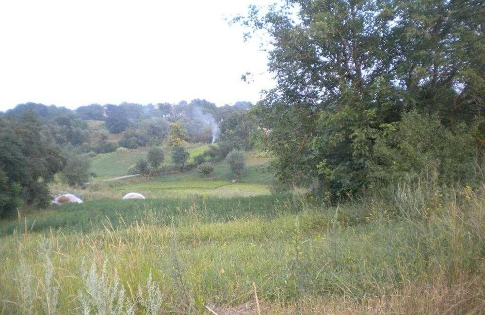 с. Шкарівка Київщина (поруч траса на Київ). Продаємо земельну ділянку.