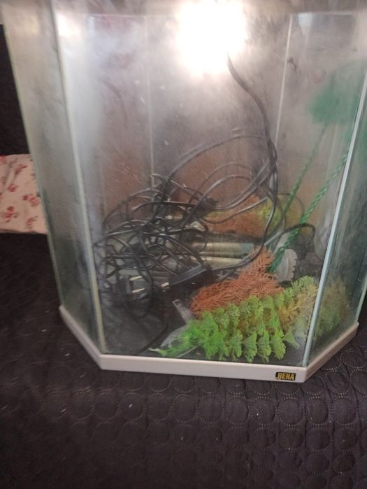 Aquário com acessórios