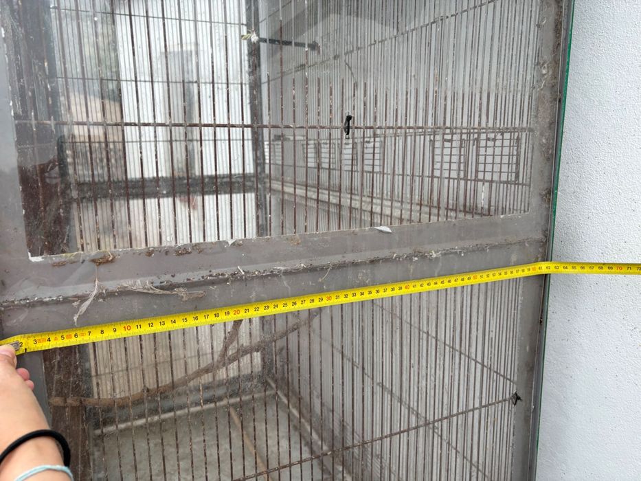 Gaiola Exteriror pássaros