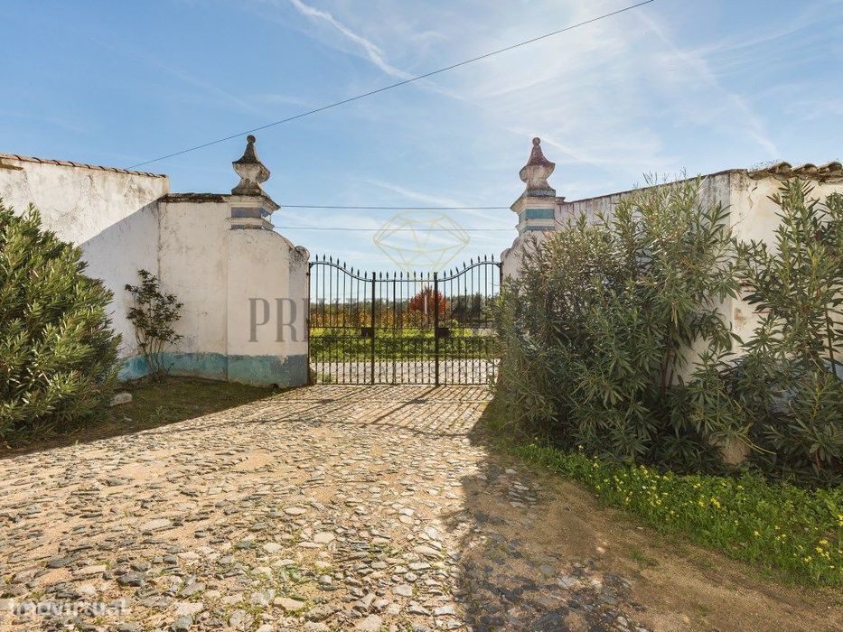 Quinta de renome em plena Vidigueira