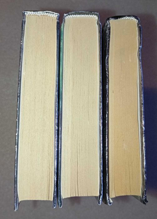 Зона смерти . Ржавчина . Время огня . Противостояние