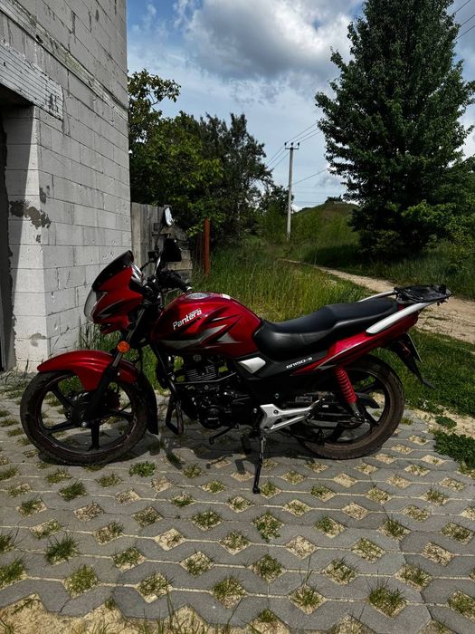 Geon Pantera 2013