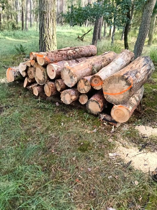 Sprzedam SUCHĄ sosnę. Wałki