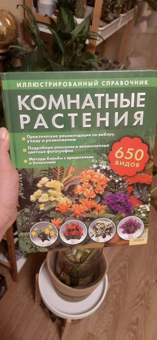 Книга Кімнатні рослини
