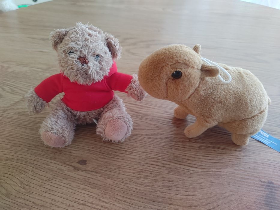 Maskotka kapibara i miś