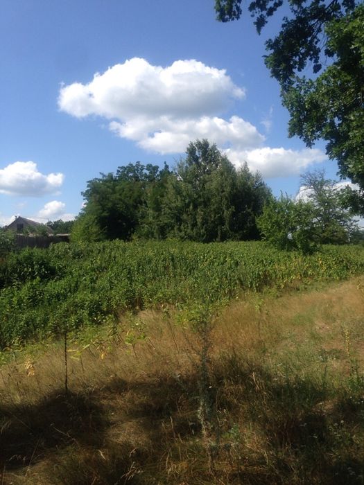 Продам приватизовану земельну дялянку під забудову