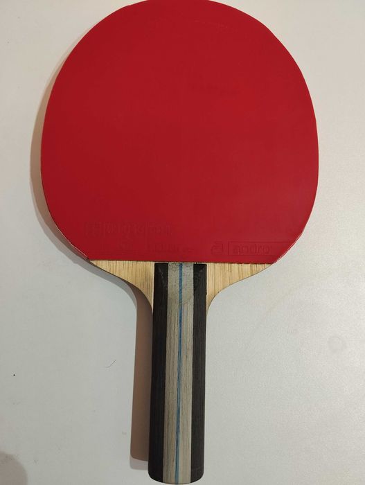 Raketa do tenisa stolowego