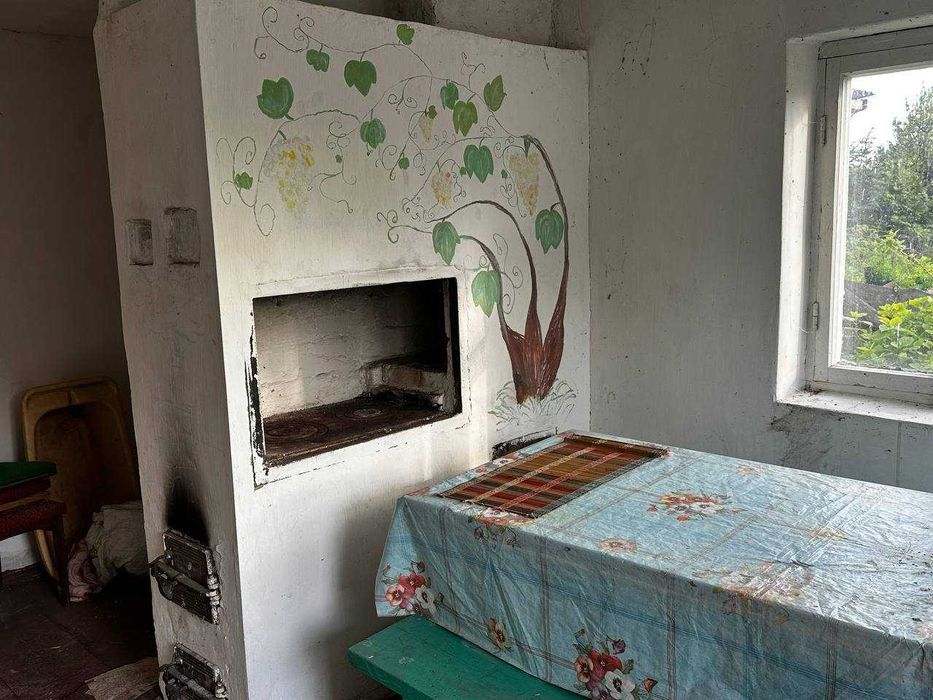 Продаж будинку, Ксаверівка, 89900тис