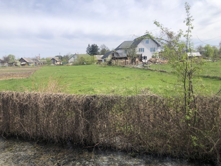 Продам земельну ділянку в Поліссі