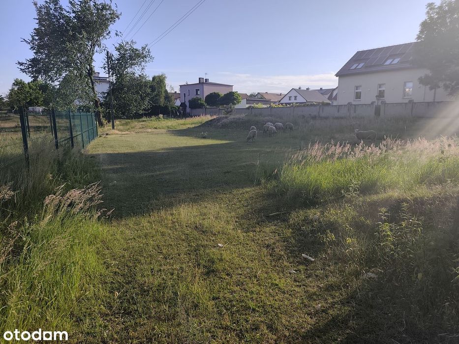 Zdjęcie 4