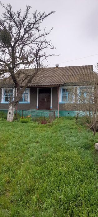 Продається будинок у с. Супрунківці