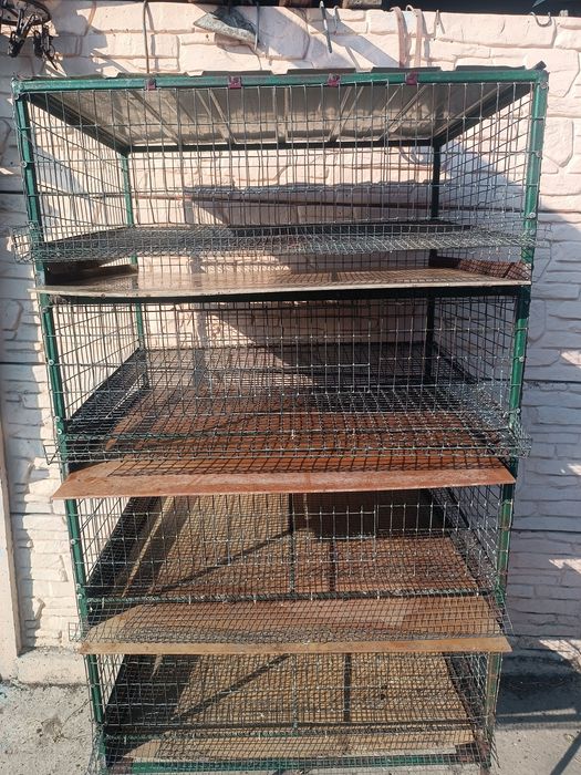 Продам клетку для содержания домашнего перепела.
