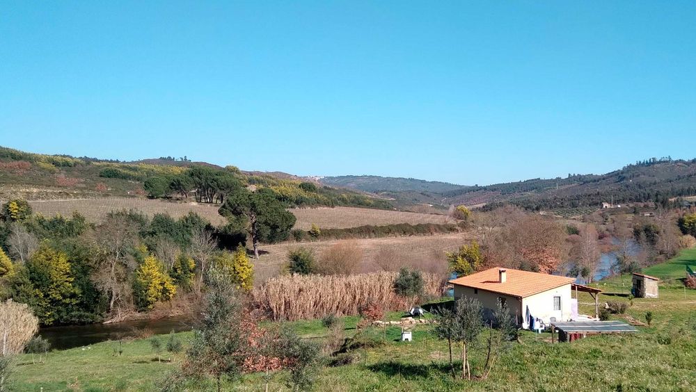 Casa Mondega T1 - Férias Julho/Agosto 2026
