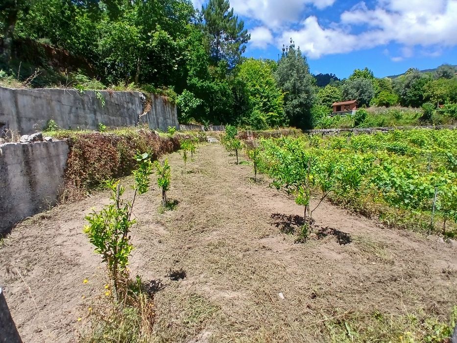 Vendo terreno ( dois artigos rusticos)e casa para reconstruir (artigo urbano)
