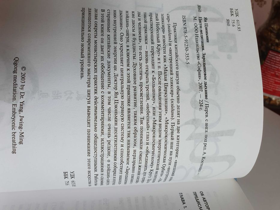 Цигун медитация. Зародышевое дыхание.  Цзюньмин Ян