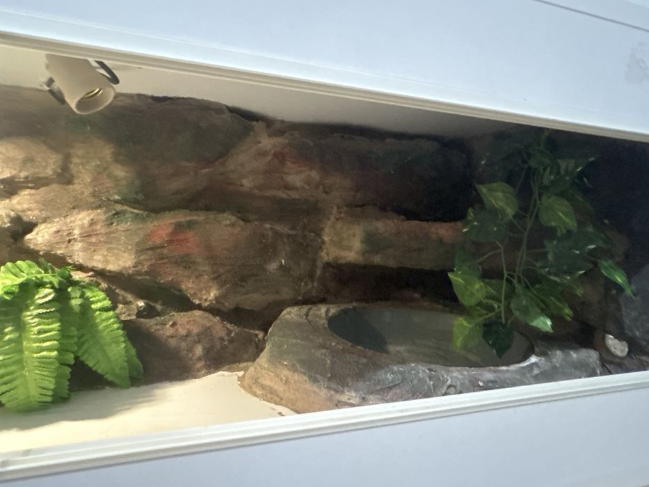 Terrarium 120 x 40 x 40