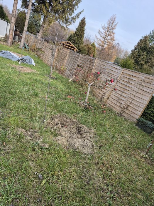 Ogródek Działkowy ROD ZACISZE Bytom Centrum