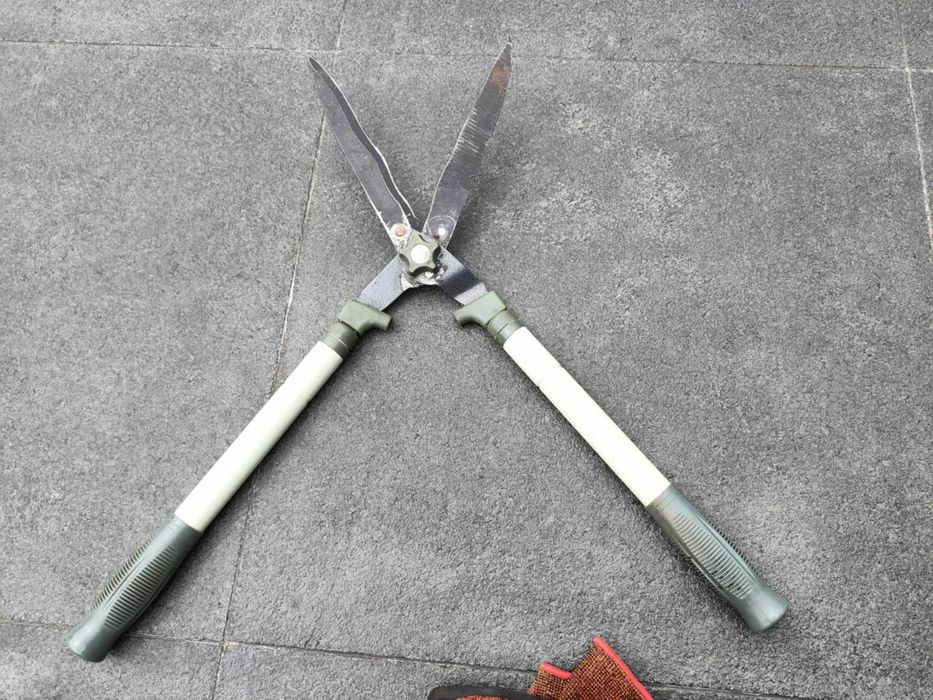 Nożyce do żywopłotu