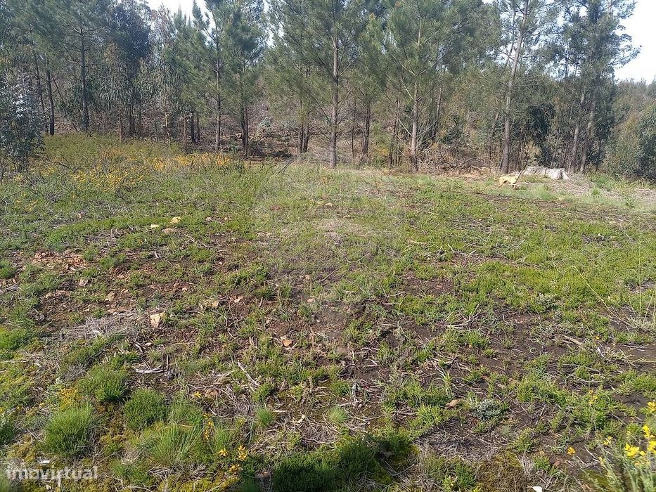 Terreno  para venda — Sousela, Porto