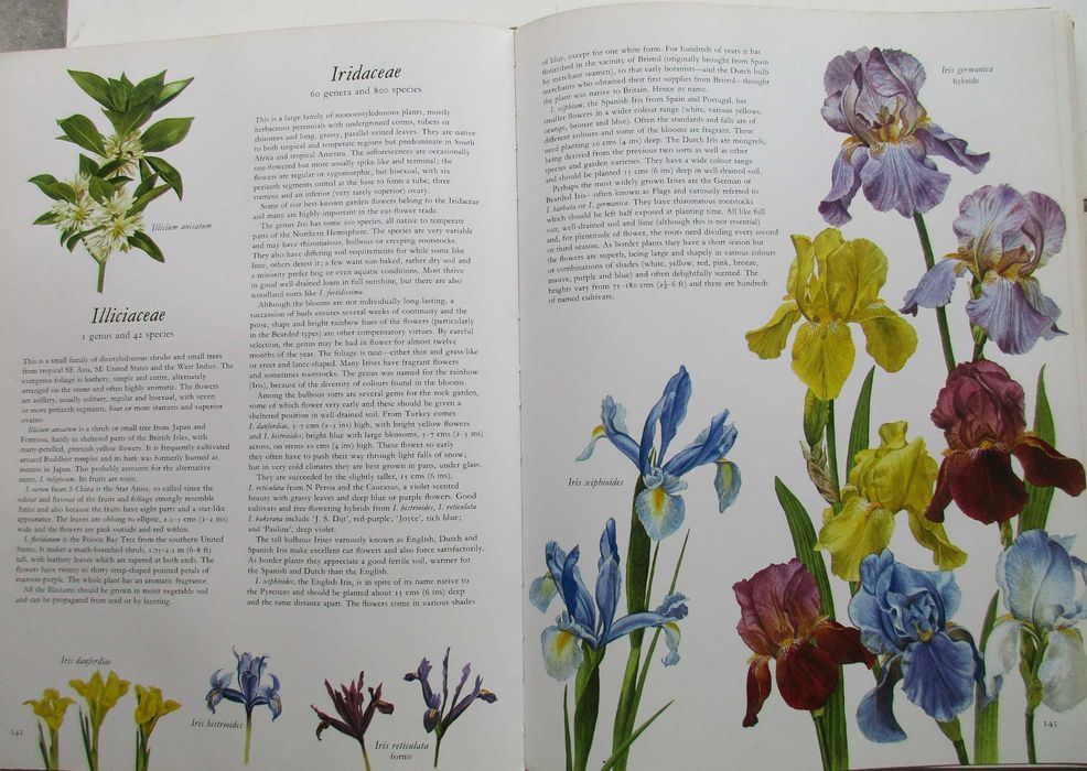 Flowers of the World - - - - - Encyclopedia
