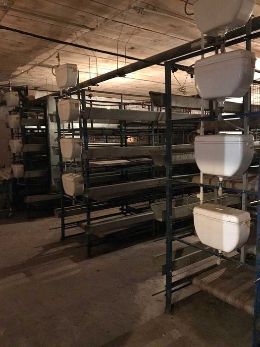 Продам птахофабрику в с. Новий Мерчик
