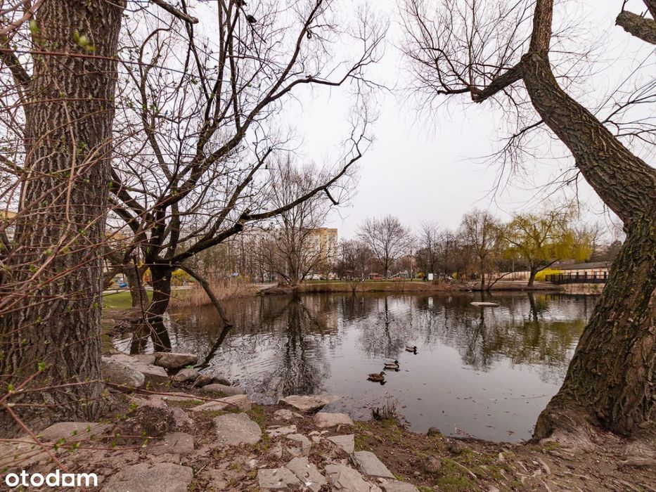 Kawalerka, piękny widok, świetna lokalizacja