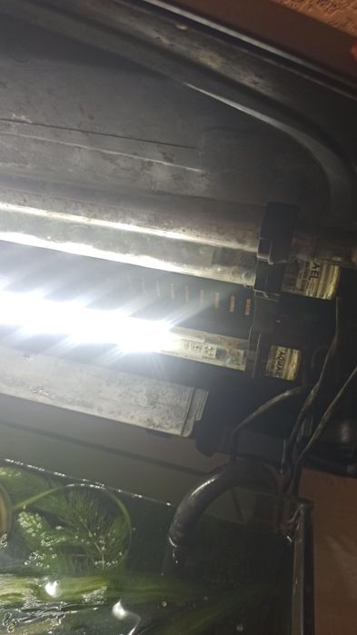 Akwarium ok 140l