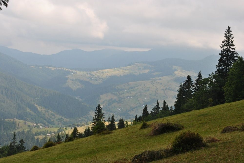 Земля в Закарпатті біля озера "Синевир"