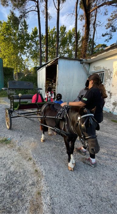 Charrete com arreios