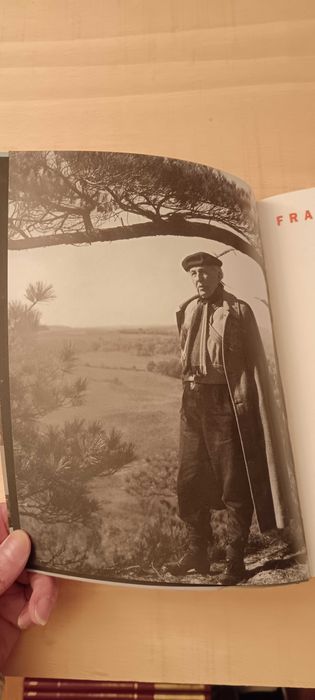 frank lloyd wright
