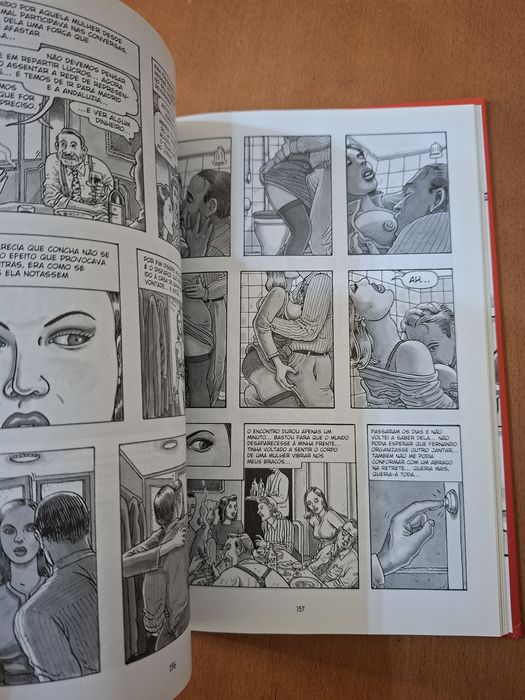 A arte de Voar " Novela Gráfica "