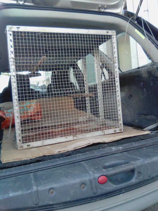 vendo Gaiola grande para pássaros