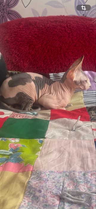 Хлопчики красавчики