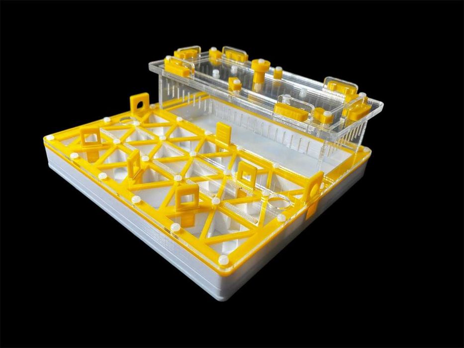 Профессиональная муравьиная ферма формикарий для муравьев в Украине