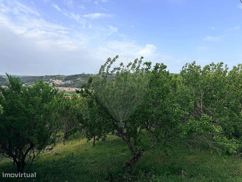 Terreno  para venda