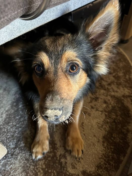 Загубився наш хлопчик